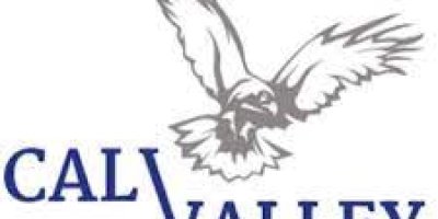 تعليق شركة كالفالي لنشاطها بحضرموت يؤكد مسؤولية البحسني في تدهور الخدمات 